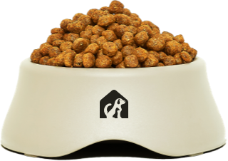 pet food dish