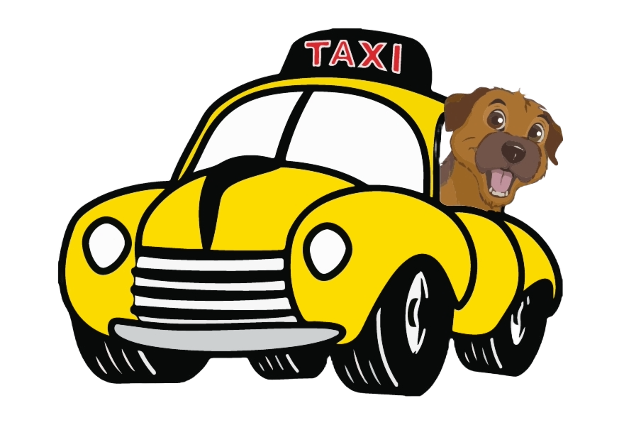 pet transportation