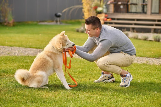 Top Puppy Training Classes in Dubai Finding the Right Program for Your Pup